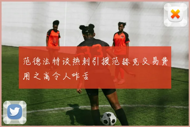 范德法特谈热刺引援范赫克交易费用之高令人咋舌