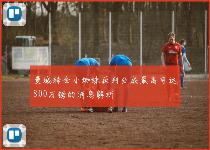 曼城转会小蜘蛛获利分成最高可达800万镑的消息解析